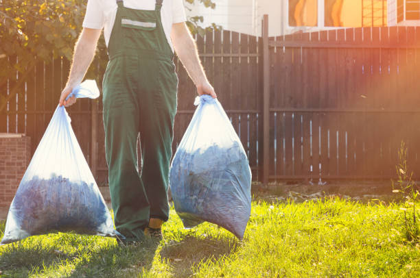 Best Electronics and E-Waste Disposal  in High Ridge, MO